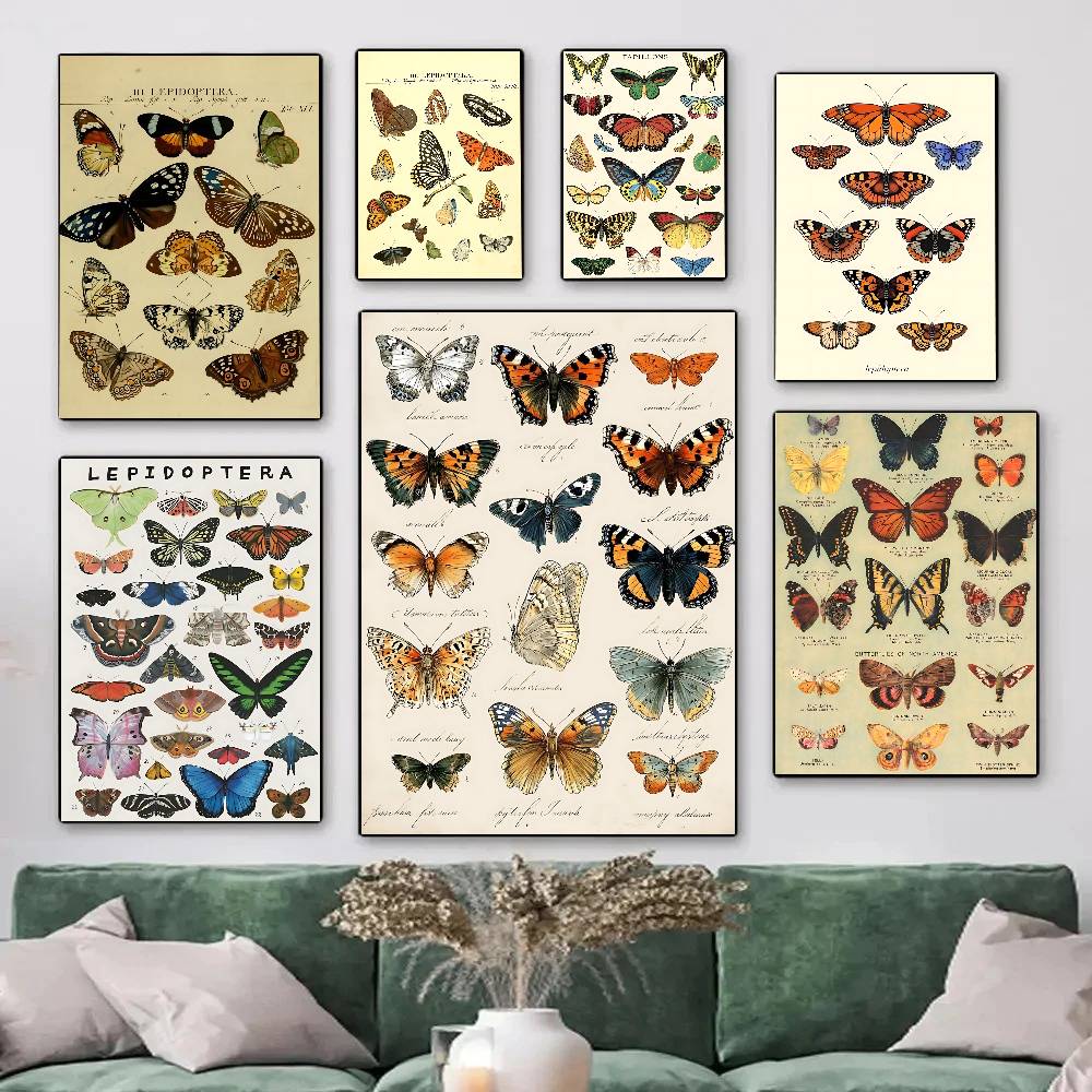 Vintage Collectible Posters - Vintage Butterfly And Insects Collection Posters