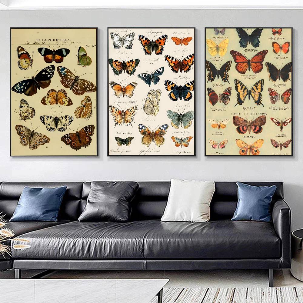 Vintage Butterfly And Insects  - đánh giá và giá Vintage Collectible Posters