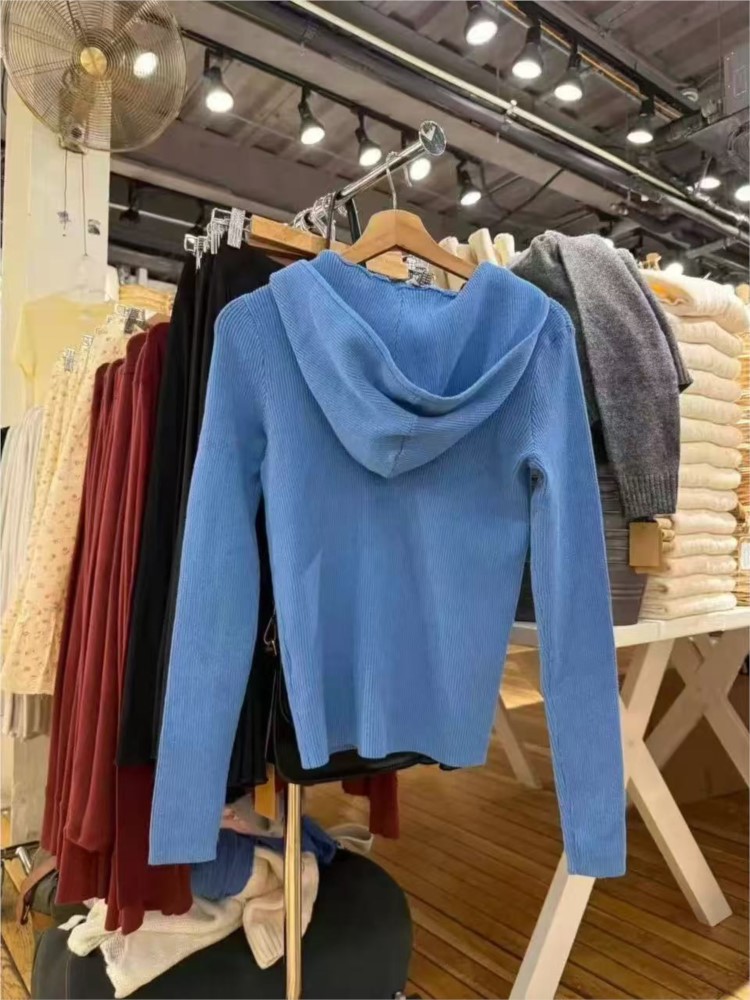 Blue Knitted Hoodies Tops Wome - đánh giá và giá Vintage Zip Hoodie